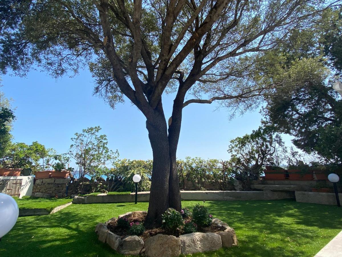 La Casa Sull'Acqua Villa Olbia Dış mekan fotoğraf